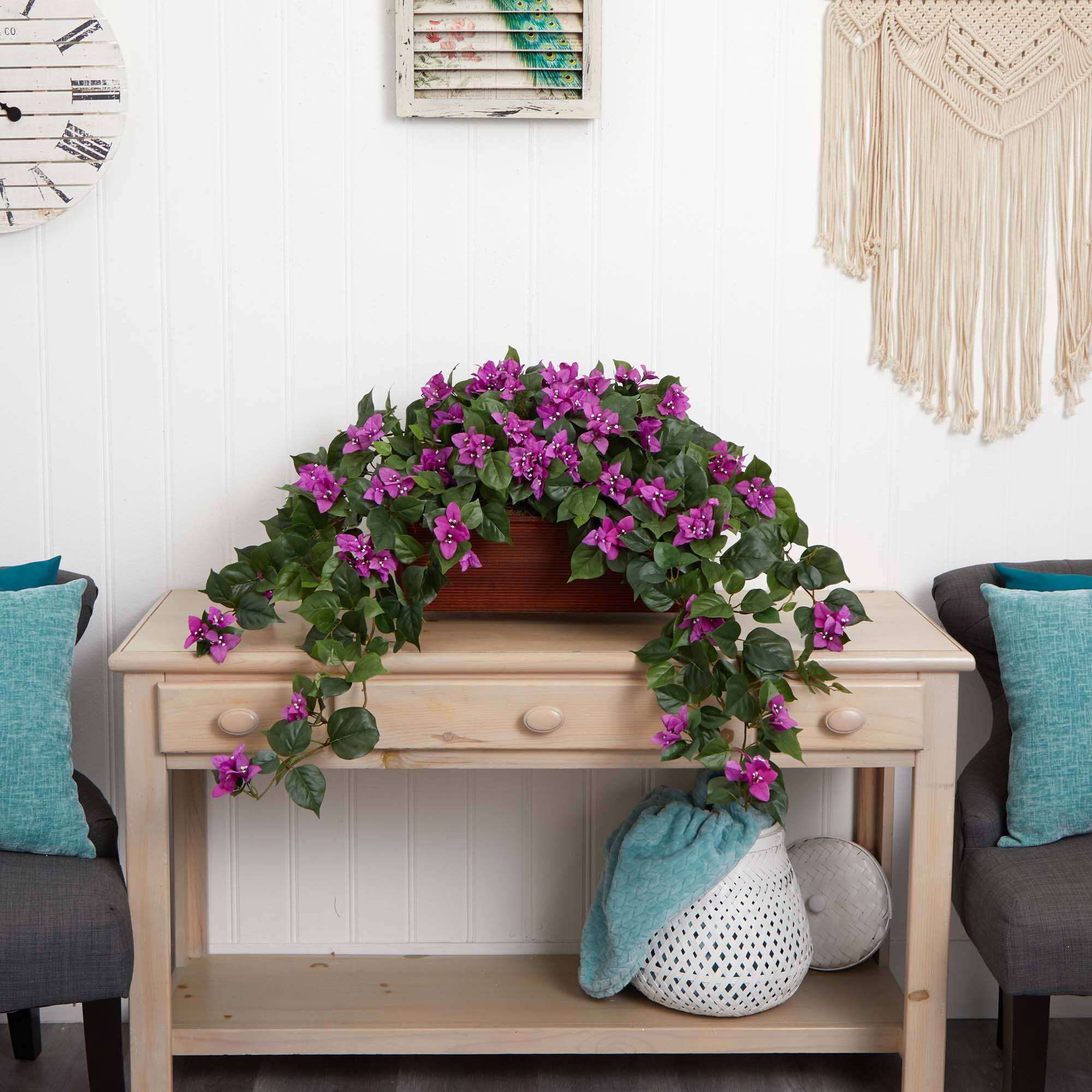 18" Bougainvillea Plant in Decorative Planter
